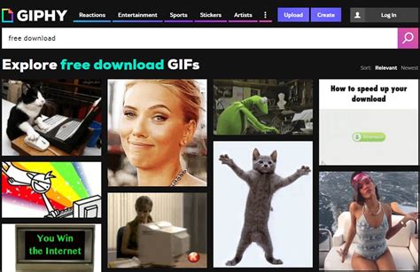 giphy|Free GIFs .